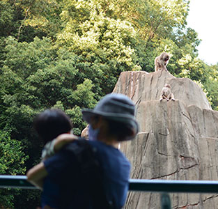 福岡市動植物園