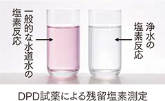 食材のビタミンを分解すると言われる残留塩素をしっかり除去！